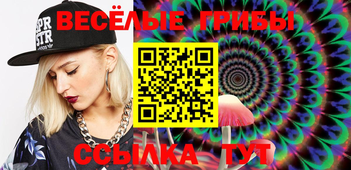 Галлюциногенные грибы Psilocybe  Вход с VPN  Ковров 