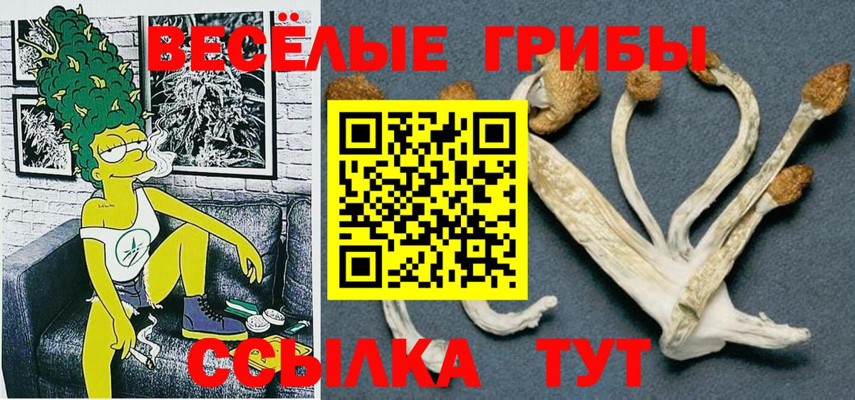 МЕФ Ковров